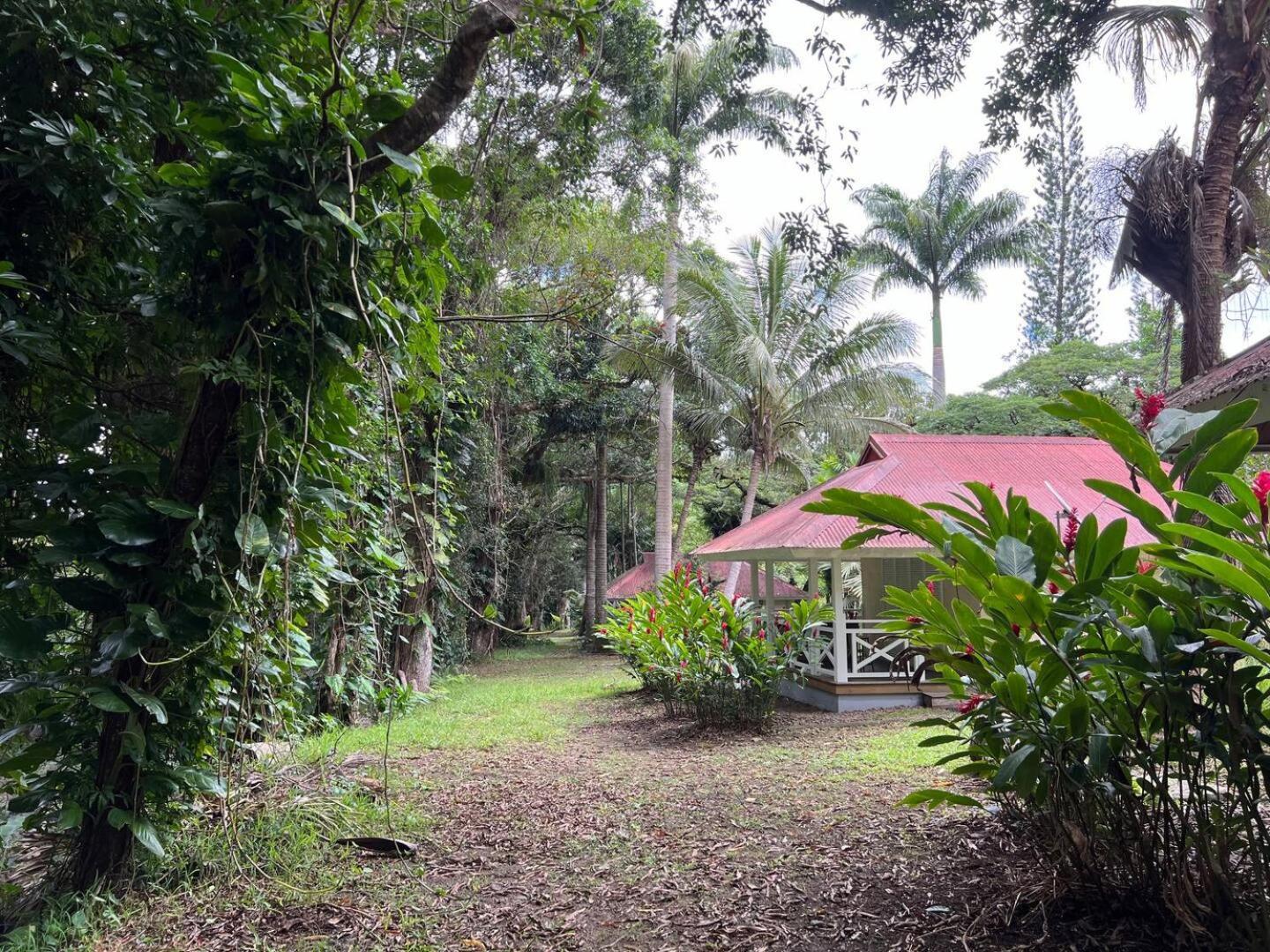 Evasion Bungalow D'Antan Spa Sarramea Экстерьер фото